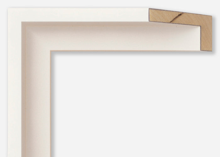Custom Canvas Floater Frame CFSYP1711