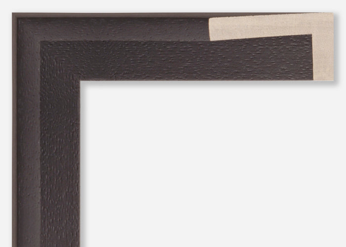 Custom Canvas Floater Frame CFSYP1722