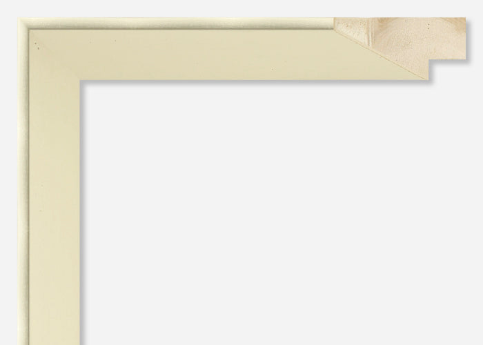Custom Picture Frame CFSYP2617