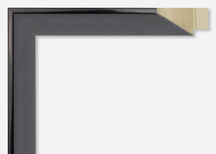 Custom Picture Frame CFSYP2652