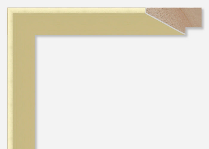 Custom Picture Frame CFSYP2654