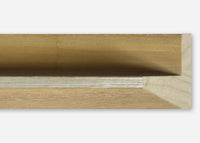 Custom Canvas Floater Frame CFSYP4014