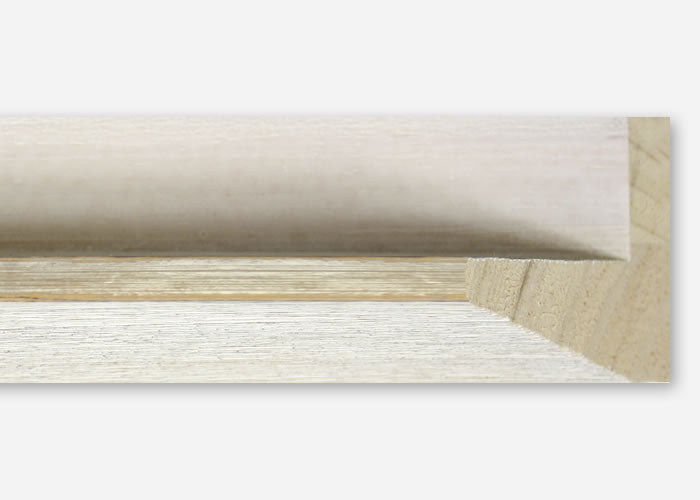 Custom Canvas Floater Frame CFSYP4015