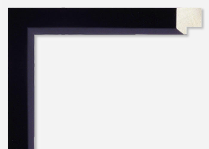 Custom Picture Frame CFSYV110