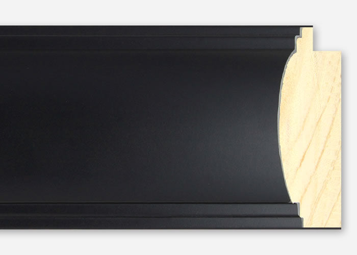 Custom Picture Frame CFSYBR4020