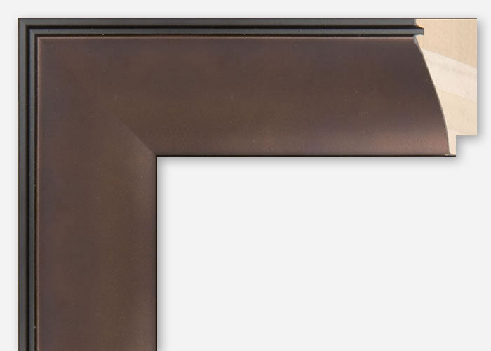 Custom Picture Frame CFSYBR6429