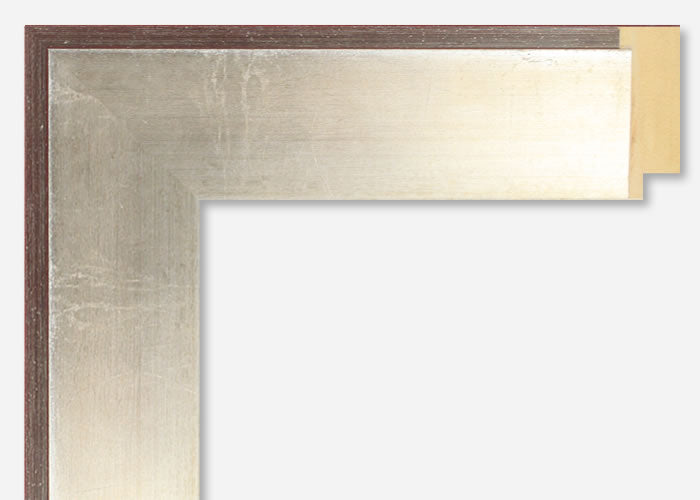 Custom Picture Frame CFSX1300-170