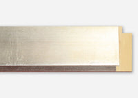Custom Picture Frame CFSX1300-170