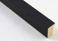 Custom Picture Frame CFSX2400-05