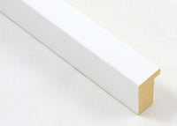 Custom Picture Frame CFSX2400-10
