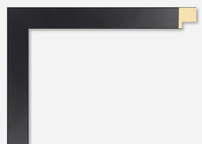 Custom Picture Frame CFSX2400-35