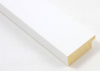 Custom Picture Frame CFSX2405-05