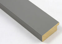 Custom Picture Frame CFSX2405-20
