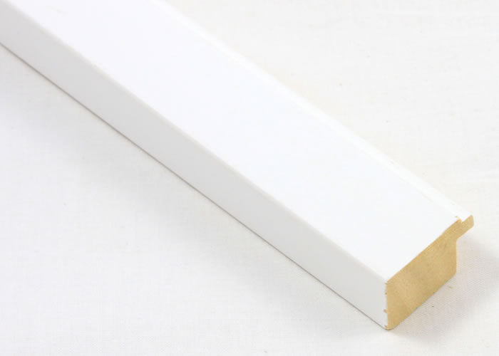 Custom Picture Frame CFSX2415-90