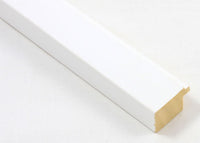 Custom Picture Frame CFSX2415-90
