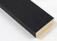 Custom Picture Frame CFSX2430-15