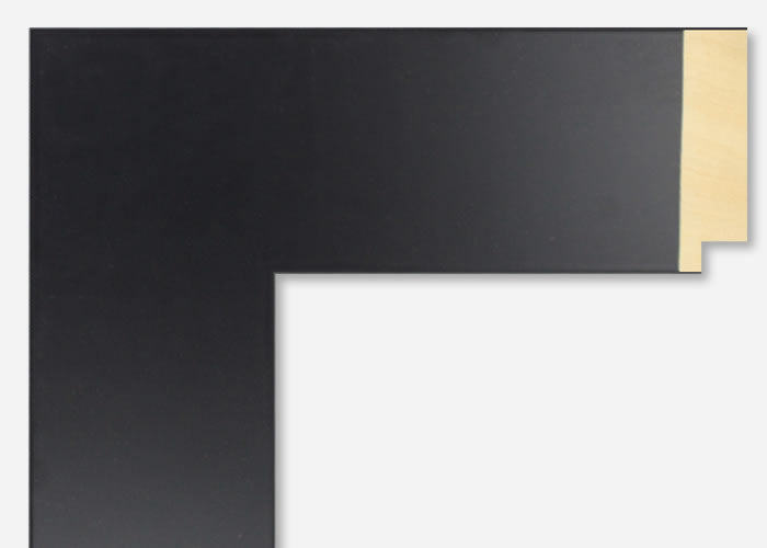 Custom Picture Frame CFSX2430-15