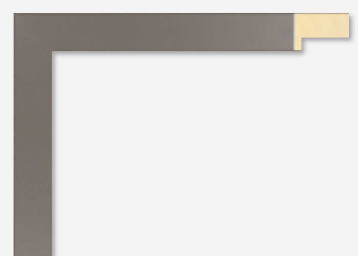 Custom Picture Frame CFSX2435-40