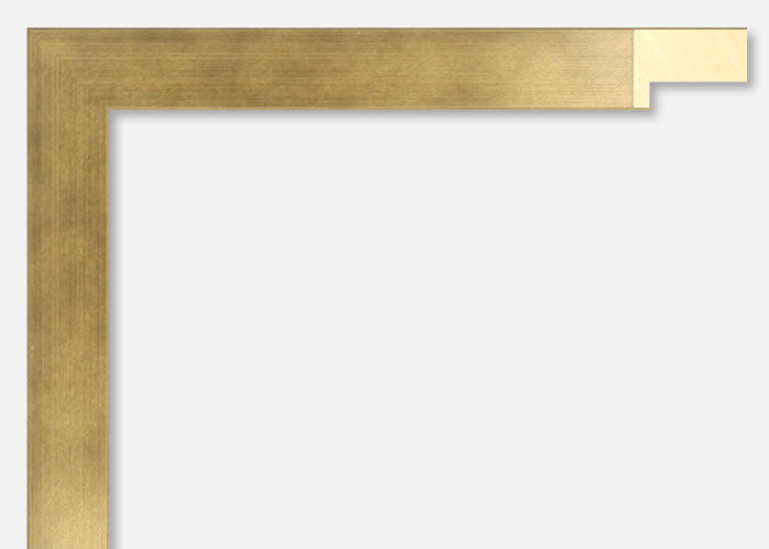 Custom Picture Frame CFSX2435-50