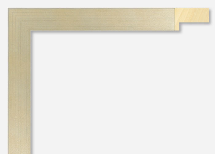 Custom Picture Frame CFSX2435-55