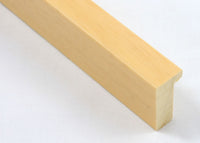 Custom Picture Frame CFSX2435-60