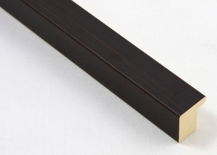 Custom Picture Frame CFSX2435-75