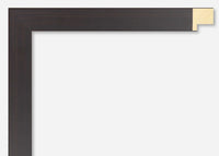 Custom Picture Frame CFSX2435-75