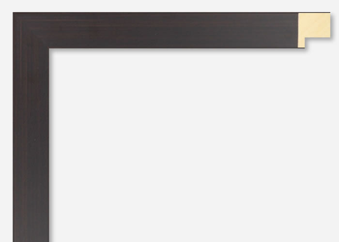 Custom Picture Frame CFSX2435-75