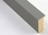 Custom Picture Frame CFSX2440-15