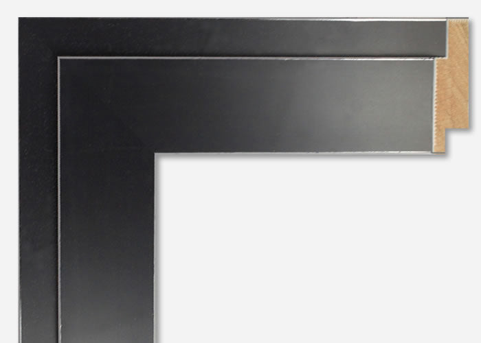 Custom Picture Frame CFSX800-365
