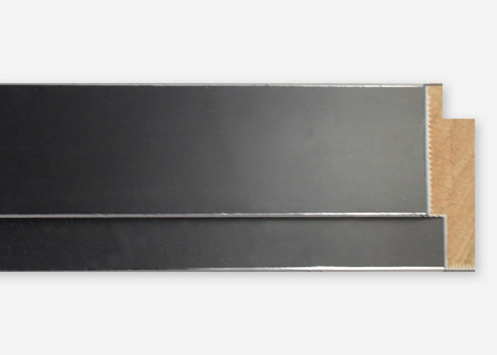 Custom Picture Frame CFSX800-365