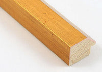 Custom Picture Frame CFSYH4257