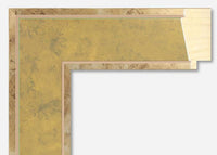 Custom Picture Frame CFSYI654