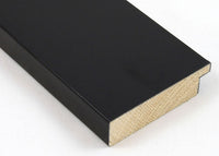 Custom Picture Frame CFSYM2550
