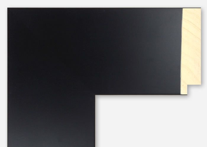 Custom Picture Frame CFSYM2550