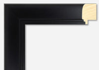 Custom Picture Frame CFSYN1010D