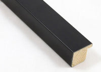 Custom Picture Frame CFSYN1110