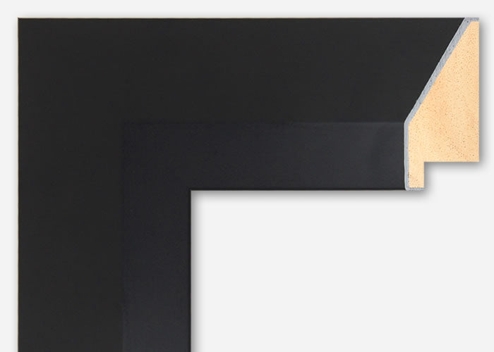 Custom Picture Frame CFSYN2010