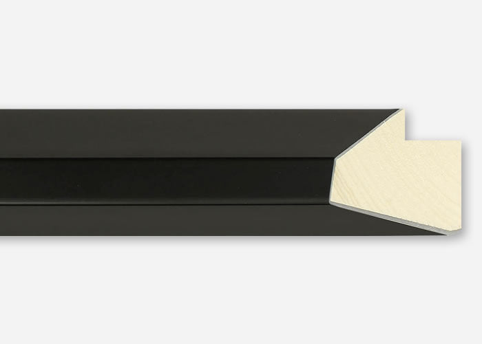 Custom Picture Frame CFSYN4520