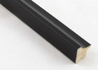 Custom Picture Frame CFSYN4810