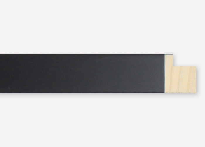 Custom Picture Frame CFSX480-05
