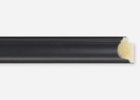 Custom Picture Frame CFSX435-95