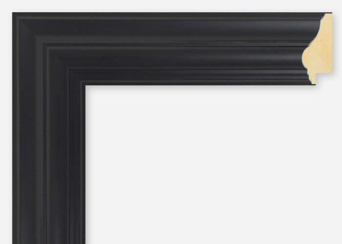 Custom Picture Frame CFSX460-50