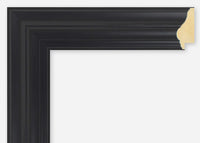 Custom Picture Frame CFSX460-50