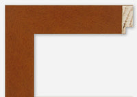 Custom Picture Frame CFSX300-675