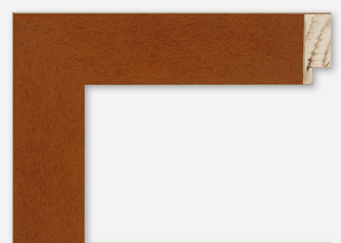 Custom Picture Frame CFSX300-675