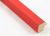 Custom Picture Frame CFSYV102