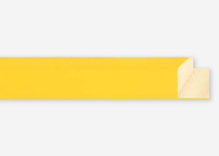 Custom Picture Frame CFSYV105