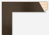 Custom Picture Frame CFSYW3421