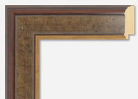 Custom Frame CFS1300-245